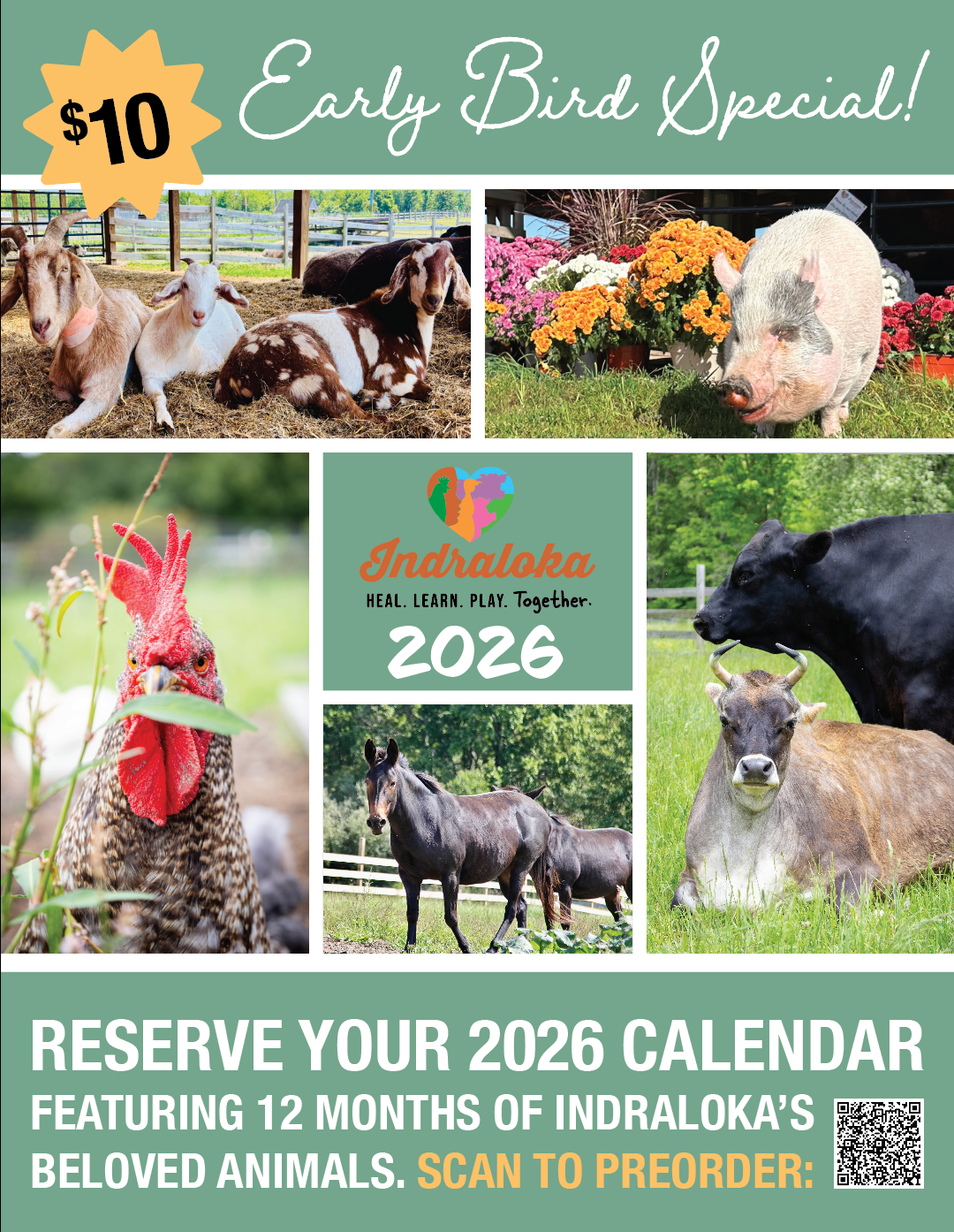 2026 Calendar (PRE-SALE ONLY)