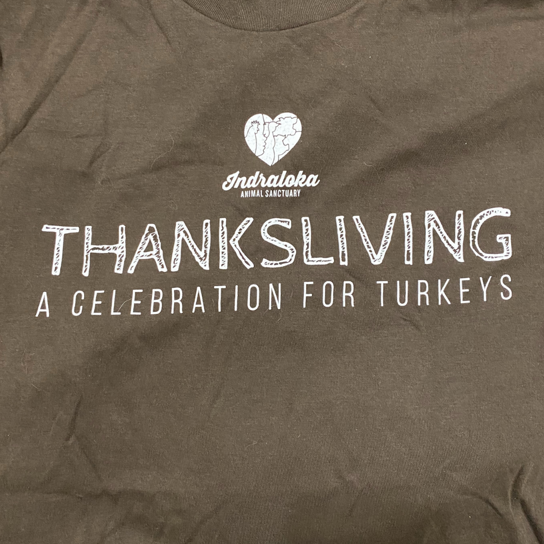 ThanksLiving T-Shirt / Classic Cut
