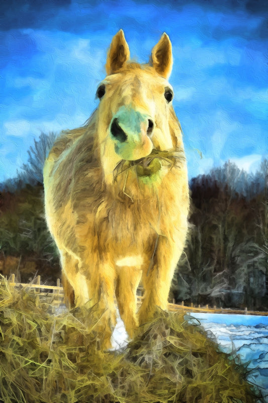 A Brother Wind Breakfast