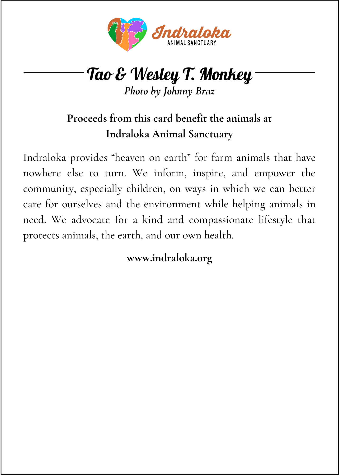 Greeting Cards // Tao & Wesley T. Monkey