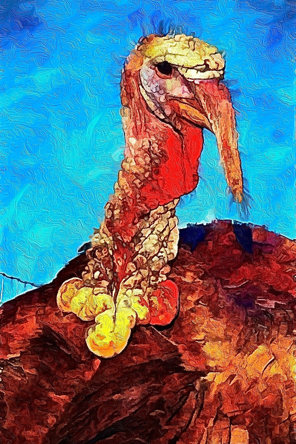 Animal Poster