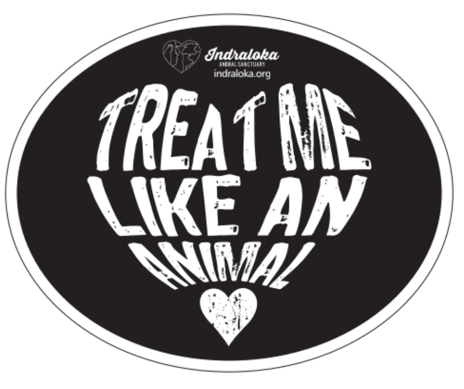 Treat Me Like An Animal Magnet
