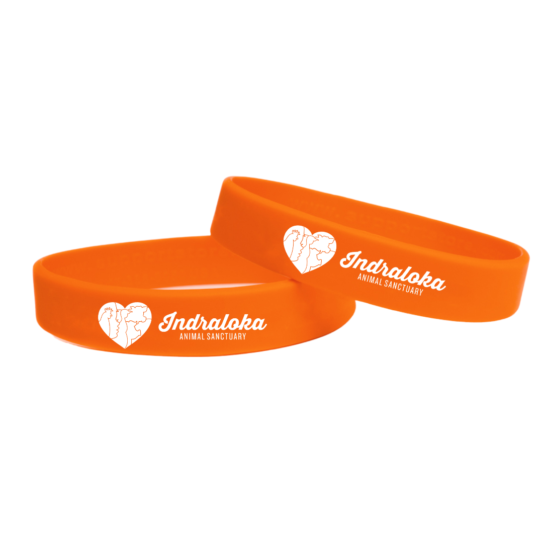 Logo Bracelet