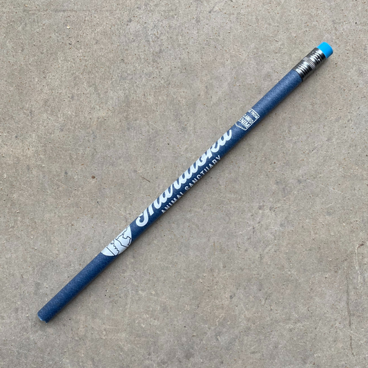 Recycled Denim Pencil