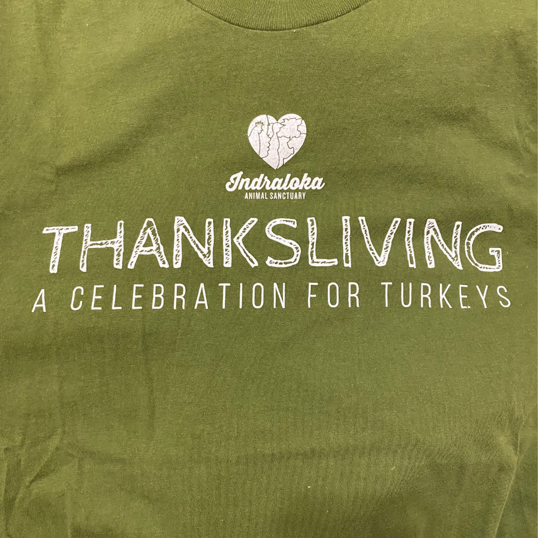ThanksLiving T-Shirt / Classic Cut