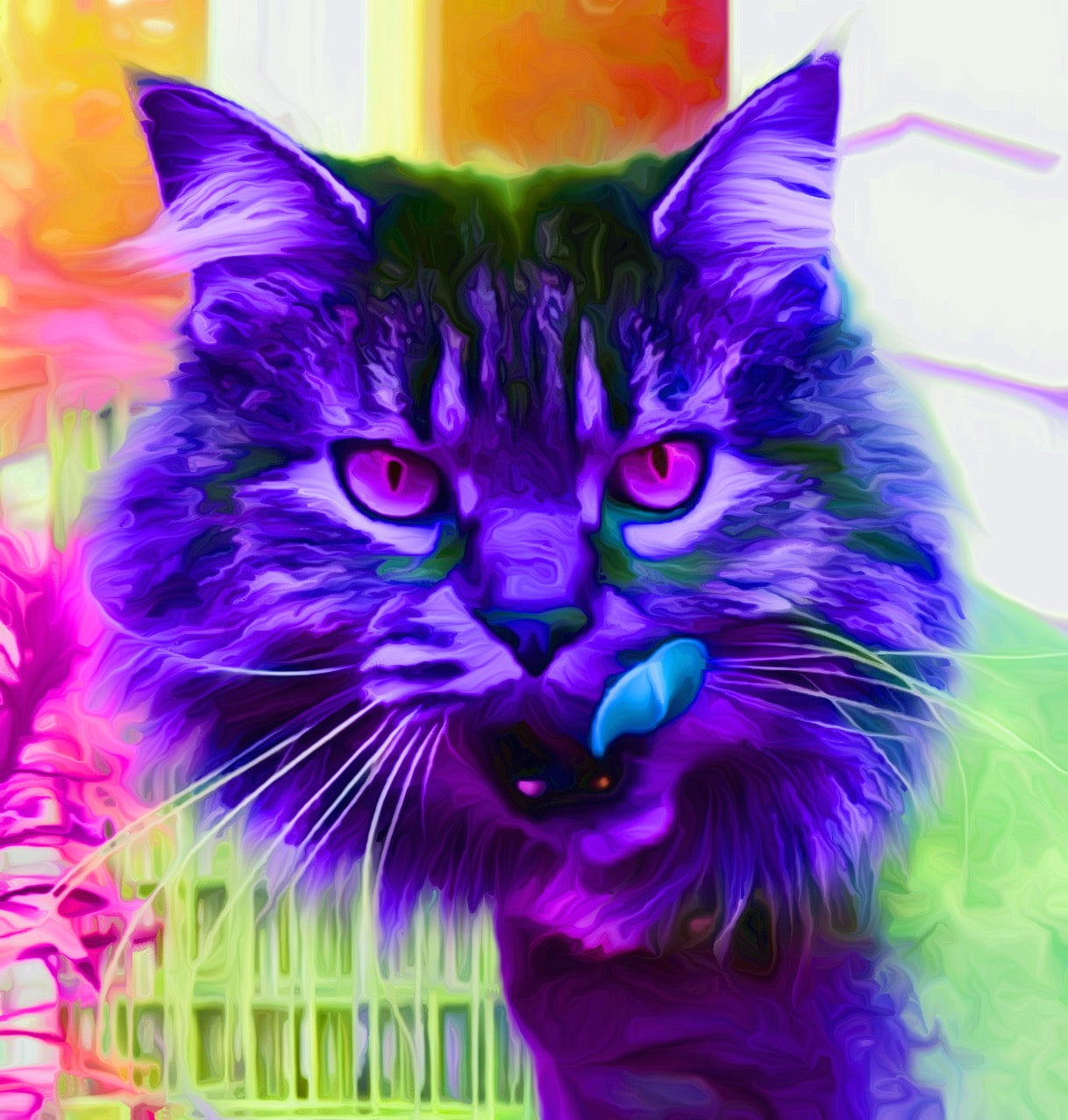 Purple Kitty